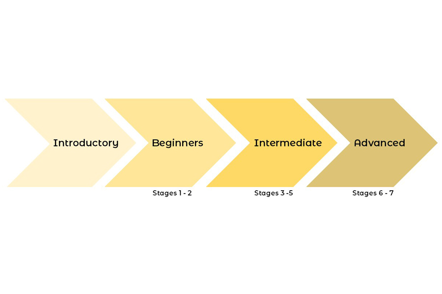 infographic showing progression route for language courses