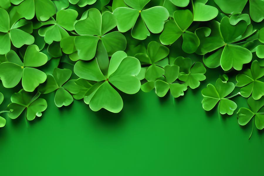 image of multiple four leaf clover on green background