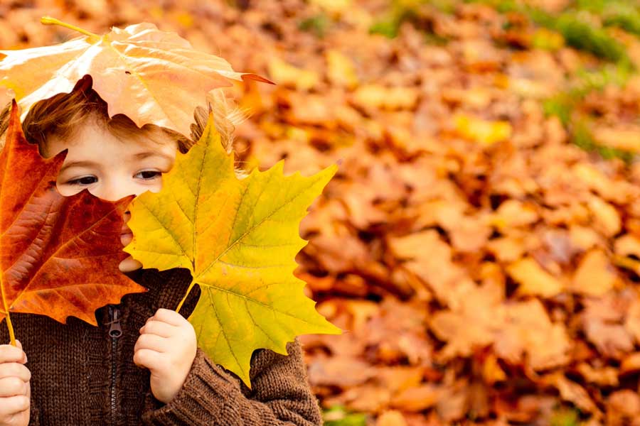 Child covering his face with autumn leaves